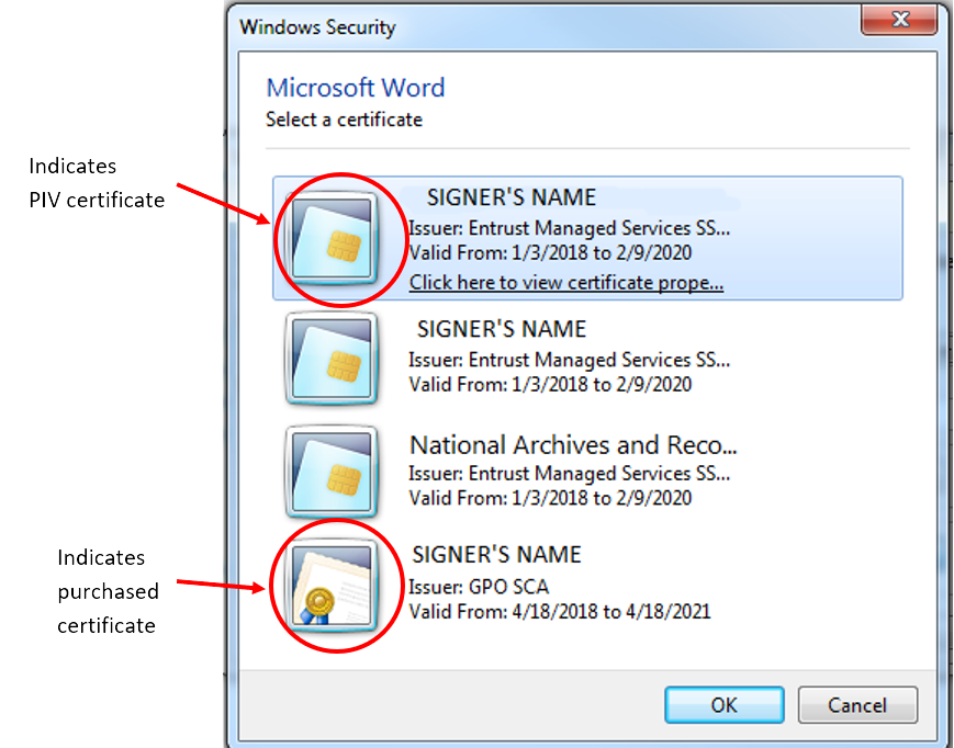 OFR Windows Security Certificate Type