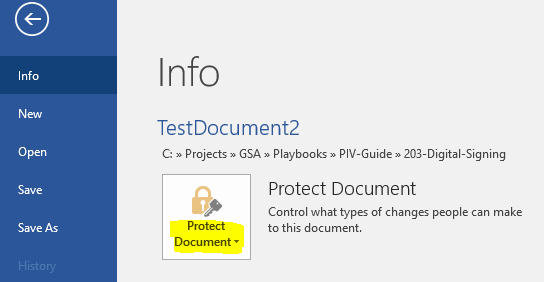 A screenshot of the Microsoft Word Info pane with the Protect Document option highlighted.